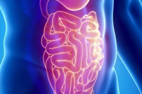 Central Lab Γαστρεντερίτιδα