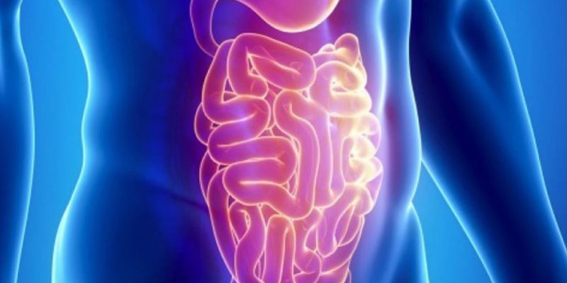 Central Lab Γαστρεντερίτιδα