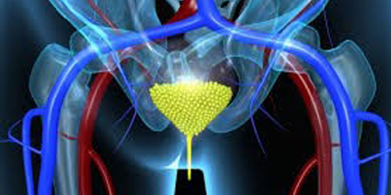 Central Lab Παιδική Εφηβική Παχυσαρκία